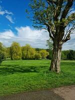 Beautiful View of a Local Public Park of England UK photo