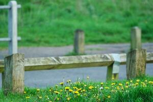 Beautiful View of a Local Public Park of England UK photo