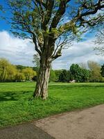 Beautiful View of a Local Public Park of England UK photo
