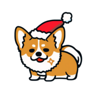 Cute cartoon corgi isolated on transparent background, ai generated png