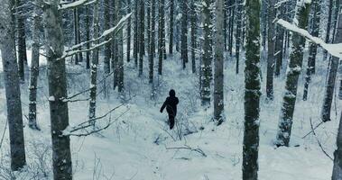 uno caminante caminando solo en profundo nieve en el bosque al aire libre en el invierno temporada video