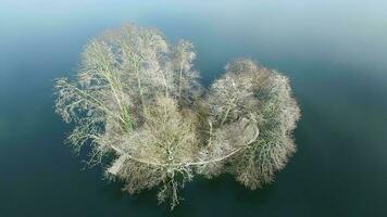 Aerial view of tree island in lake landscape scenery video