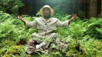 giovane donna praticante yoga esercizi all'aperto nel tranquillo, calmo foresta natura video