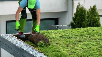 professioneel tuinman installeren groen dakbedekking systeem video