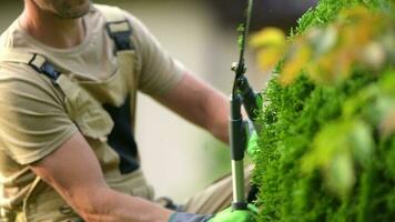 Man Pruning Bush With Garden Scissors. video