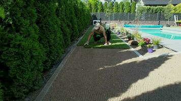 landschapsarchitectuur arbeider installeren nieuw natuurlijk gras graszoden in de omgeving van een zwemmen zwembad video