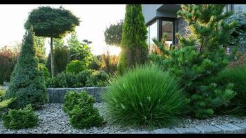 scénique retour Cour jardin pendant le coucher du soleil. côté caméra mouvement video