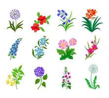 Realistic colorful flat flowers. Perfect for illustration and nature education. vector