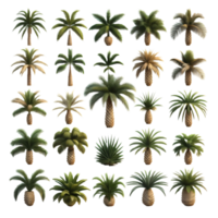 conjunto de palma arboles en transparente antecedentes. generativo ai png