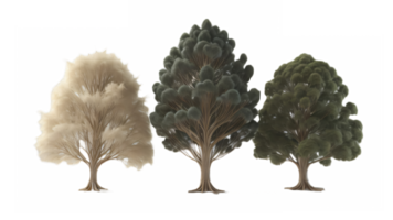 Illustration von Bäume auf transparent Hintergrund, zum Illustration, Digital Komposition, und die Architektur Visualisierung. generativ ai png