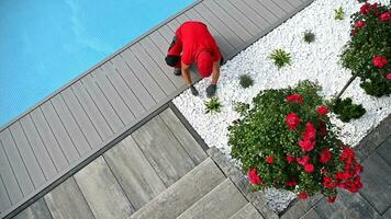 profesional jardinero paisajismo el zona alrededor al aire libre nadando piscina video