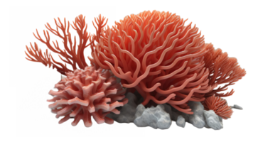 Koralle mit transparent Hintergrund. generativ ai png