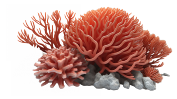 corail avec transparent Contexte. génératif ai png