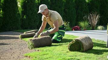 Natural Grass Turfs Rolling Over Inside Residential Backyard. Landscaping Industry Job. video