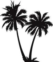 Black color silhouette of palm tree. vector