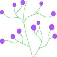 Illustration of purple and green plant. vector