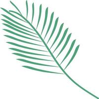 Green fir leaf on white background. vector