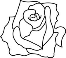 Rose Flower with thin line illustration. vector