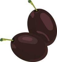 Flat illustration of java plum. vector