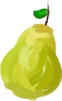 Brush stroke illustration of guava. vector