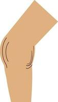 Symbol of knee icon of body part. vector