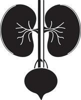 Glyph style of kidneys icon in part of body. vector