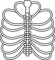 Picture of ribs inside body in stroke for protect heart. vector