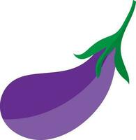 Illustration of a brinjal in purple color. vector