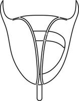 Stroke style of human bladder icon in isolated. vector