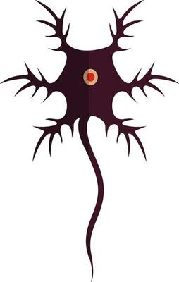 Symbol of neuron system for human body in isolated.