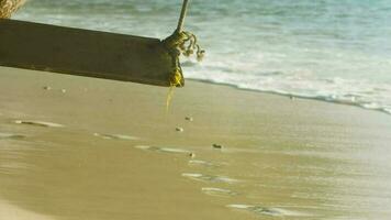 Wooden swing on a palm tree against the background of the azure water of the ocean. Tourism and travel concept video