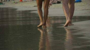 piernas de mujer y hombre caminando descalzo en mojado blanco arena isla playa. lento movimiento. video