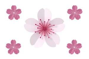 Sakura flower paper style, 3d rendering png