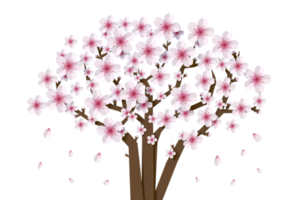 Sakura Blume Papier Stil, 3d Rendern png