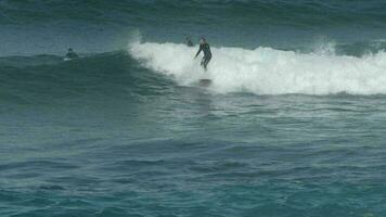 Surfer Reiten Wellen im das Ozean aus fuertventura video
