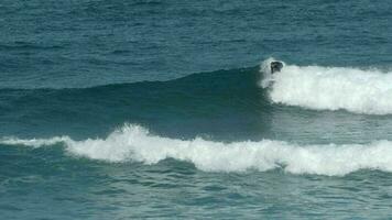 Surfer Reiten Wellen im das Ozean aus fuertventura video