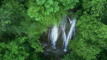 un cascada en un montaña bosque video