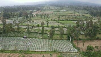 aéreo ver de vegetal campo en sumando y sindoro montar con brumoso pico en Indonesia video