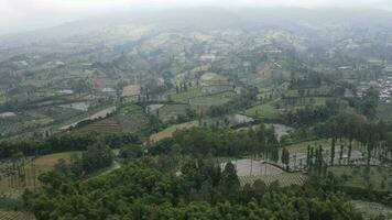 Aerial view of vegetable field in Sumbing and Sindoro mount with foggy peak in Indonesia video