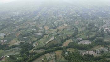 aérien vue de légume champ dans sommation et sindoro monter avec brumeux de pointe dans Indonésie video