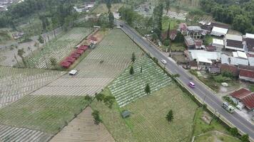 Aerial view of Posong village at Wonosobo with mountain around it video