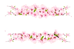 realista florescendo cereja flores e pétalas, cereja florescer. Rosa sakura flor fundo. cereja Flor flor florescendo png