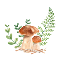 Watercolor forest composition. Porcini mushrooms, fern, twigs and green branches. Botanical hand drawn illustration. Can be used for greeting cards, posters, stickers print png