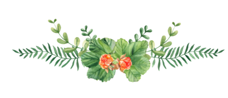 Watercolor garland summer bouquet. Cloudberry leaves, berries, green branches. Botanical hand drawn illustration. For greeting cards, invitations, logos. png