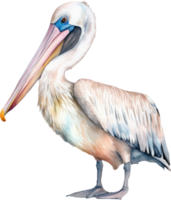 pelikaan vogel waterverf illustratie. ai gegenereerd png