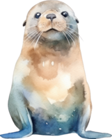 Sealion Watercolor Illustration. AI Generated png