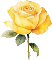 Yellow Rose Flower Watercolor. AI Generated png