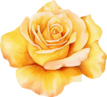 Jaune Rose fleur aquarelle. ai généré png