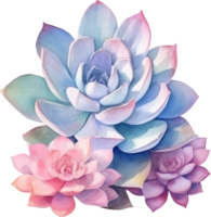 Succulent Watercolor Illustration. AI Generated png
