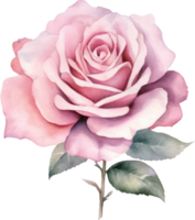 Rosa rosa flor aquarela. ai gerado png